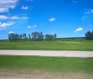 Have I mentioned how much I love driving in the Prairies?